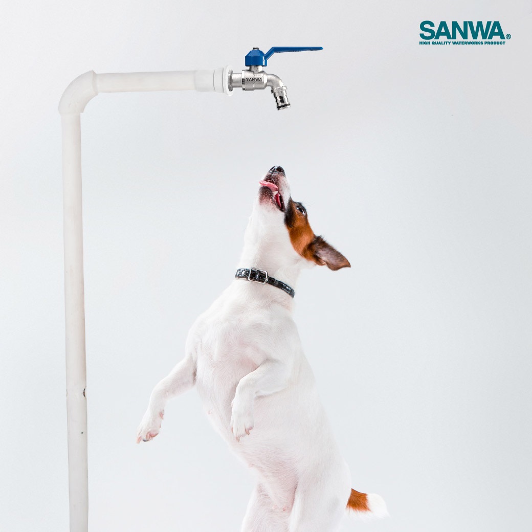 Vòi nước sanwa