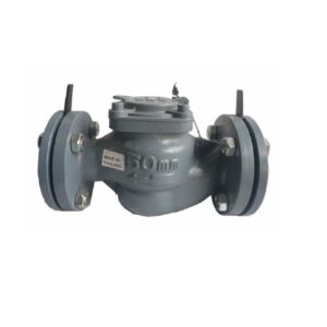 Đồng hồ nước RPM ASAHI cấp C