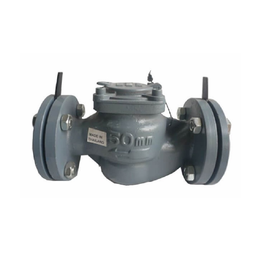 Đồng hồ nước RPM ASAHI cấp C