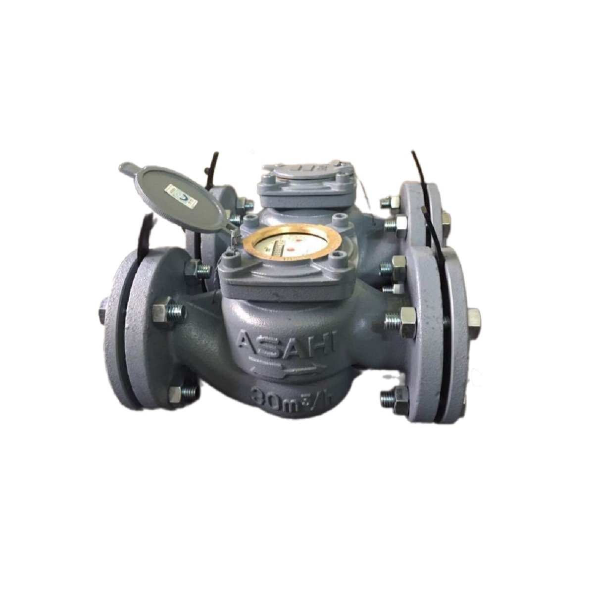 Đồng hồ nước RPM ASAHI cấp C