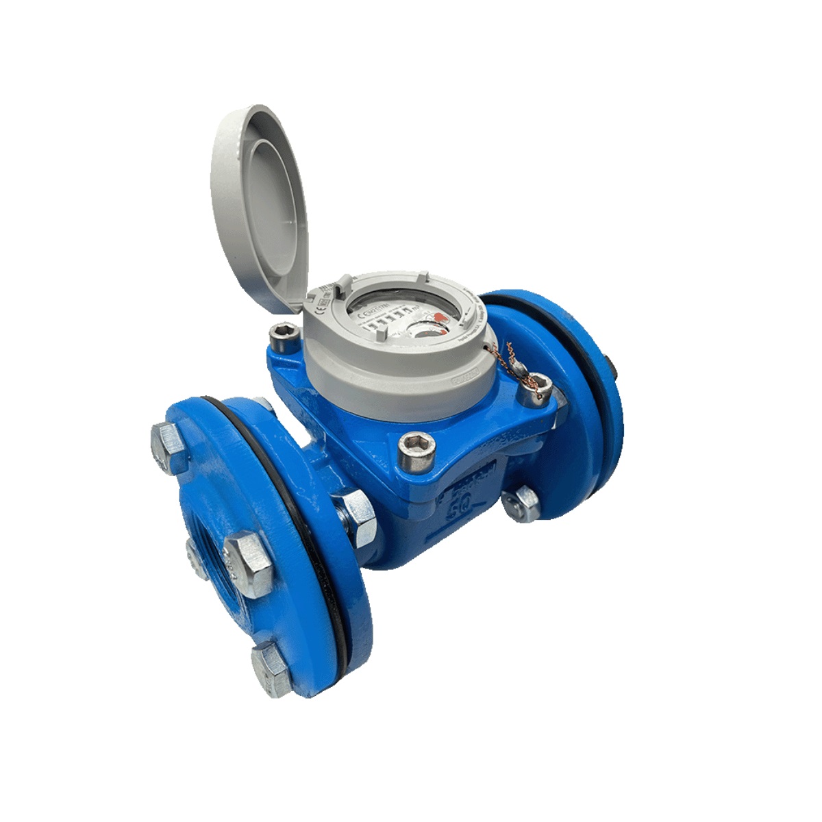 Đồng hồ nước Sanwa Woltman