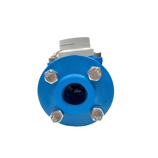 Đồng hồ nước Sanwa Woltman