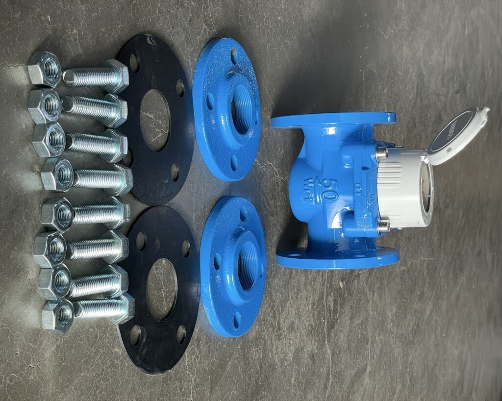 Đồng hồ nước Woltman