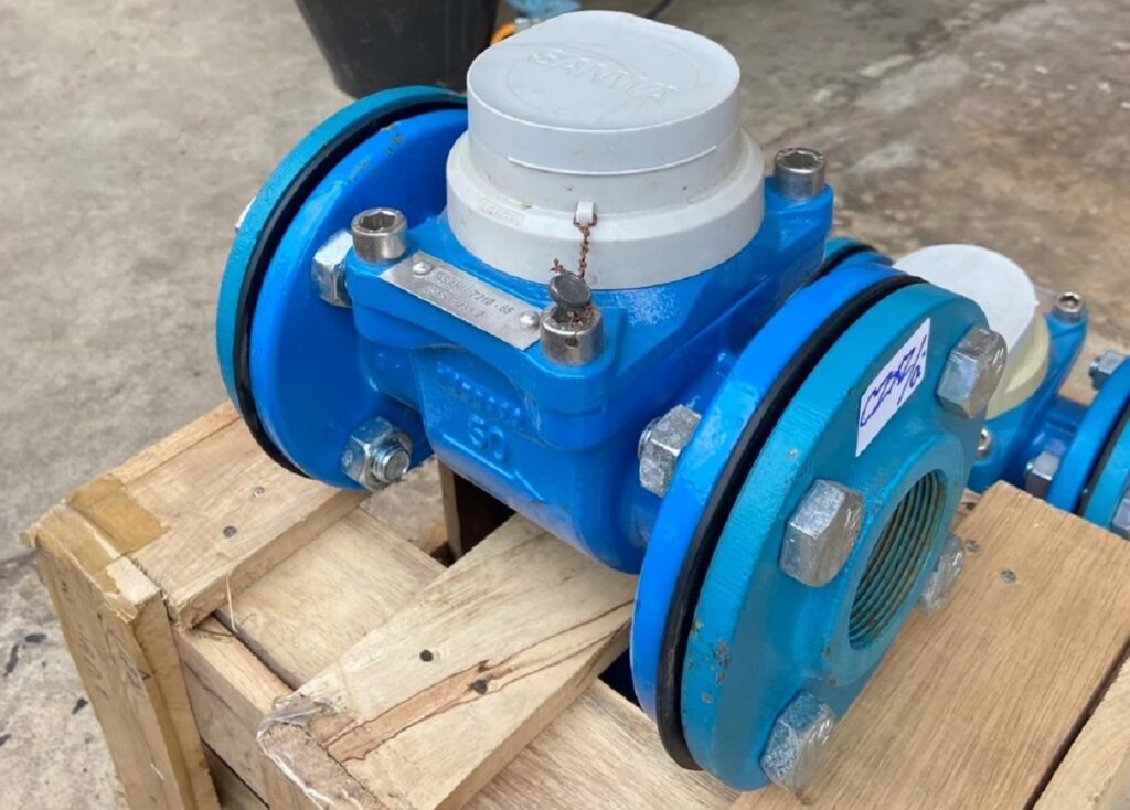 Đồng hồ nước Woltman