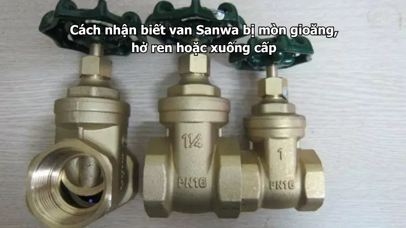Cách nhận biết van Sanwa bị mòn gioăng, hở ren hoặc xuống cấp